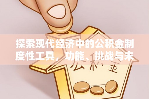离岛探索现代经济中的公积金制度性工具，功能、挑战与未来