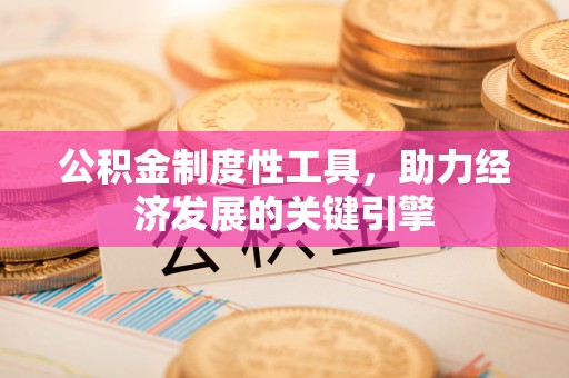 离岛公积金制度性工具，助力经济发展的关键引擎
