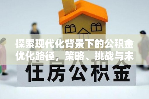 离岛探索现代化背景下的公积金优化路径，策略、挑战与未来展望
