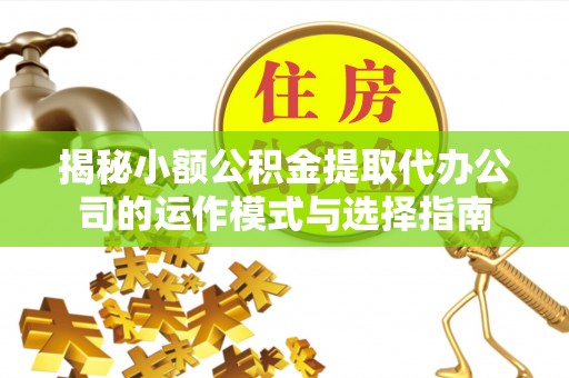 离岛揭秘小额公积金提取代办公司的运作模式与选择指南