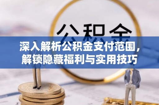 离岛深入解析公积金支付范围，解锁隐藏福利与实用技巧