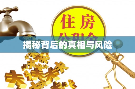 离岛揭秘背后的真相与风险
