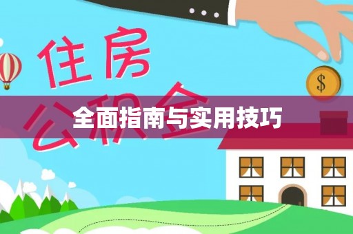 离岛全面指南与实用技巧