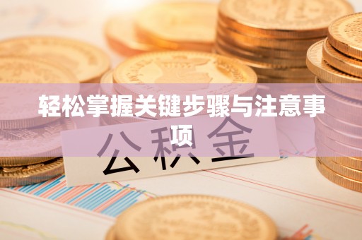 离岛轻松掌握关键步骤与注意事项